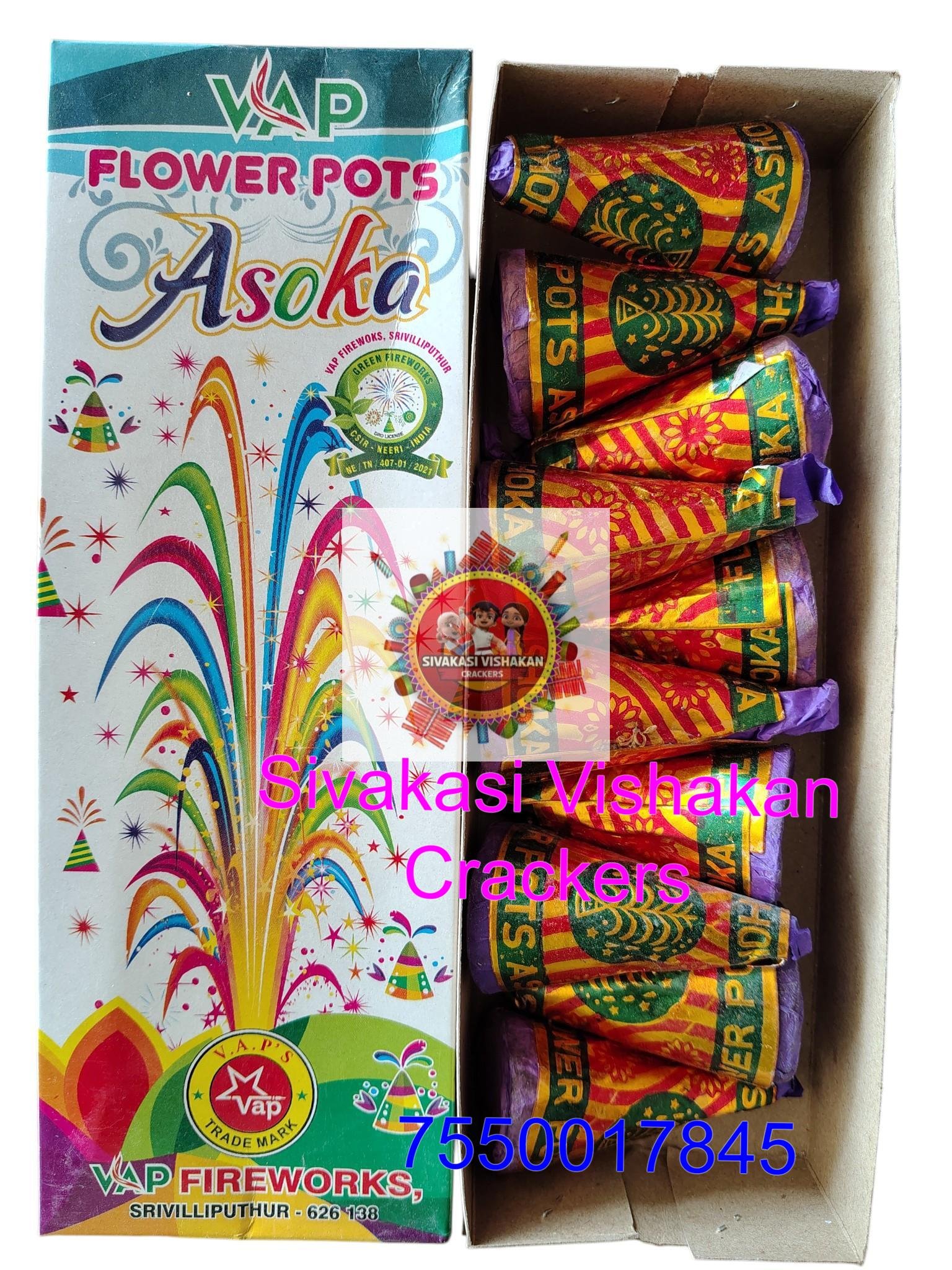 Flowerpot_ Ashoka